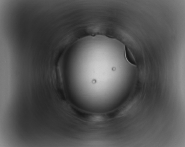 X0000093230085200710101411