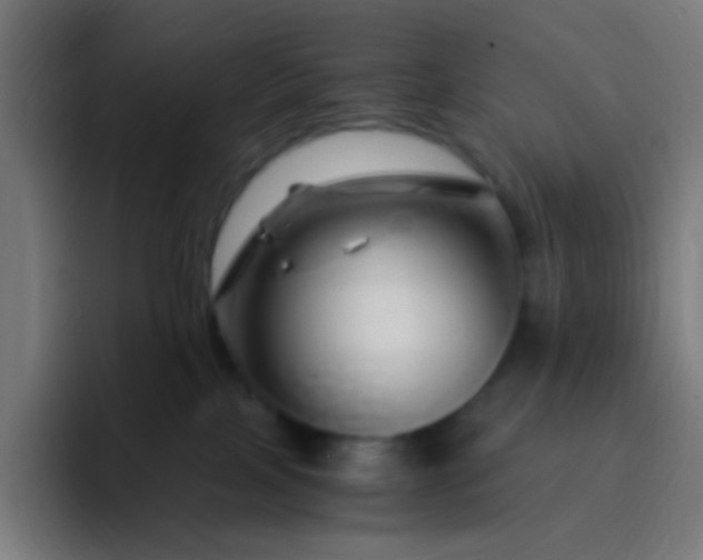 X0000093230089200710101411