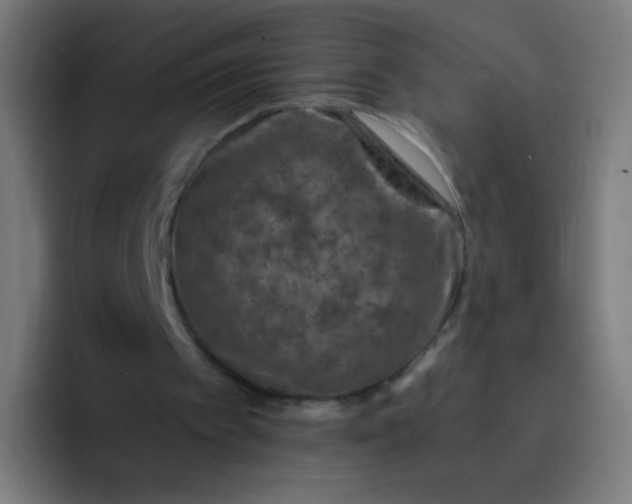 X0000093230097200710101411