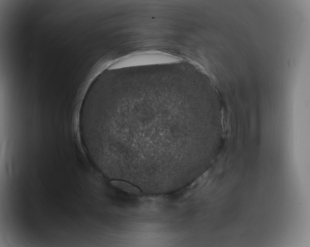 X0000093230099200710101411