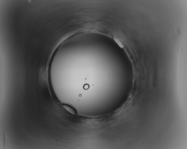 X0000093230100200710101411