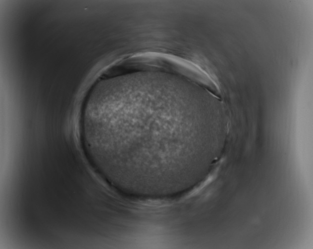 X0000093230101200710101411