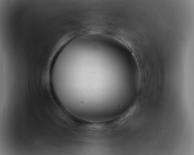 X0000093230102200710101411