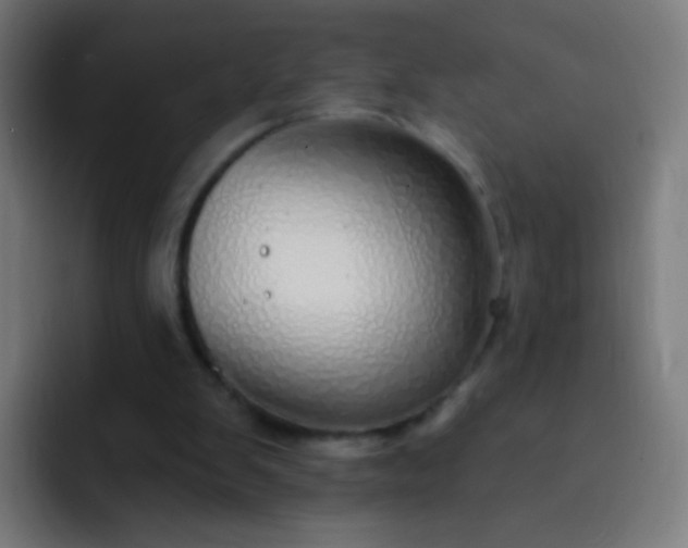 X0000093230103200710101411