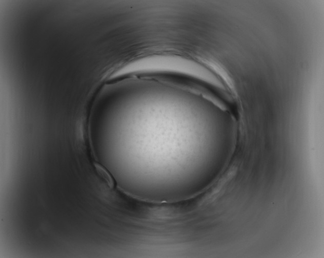 X0000093230105200710101411