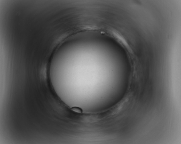 X0000093230106200710101411