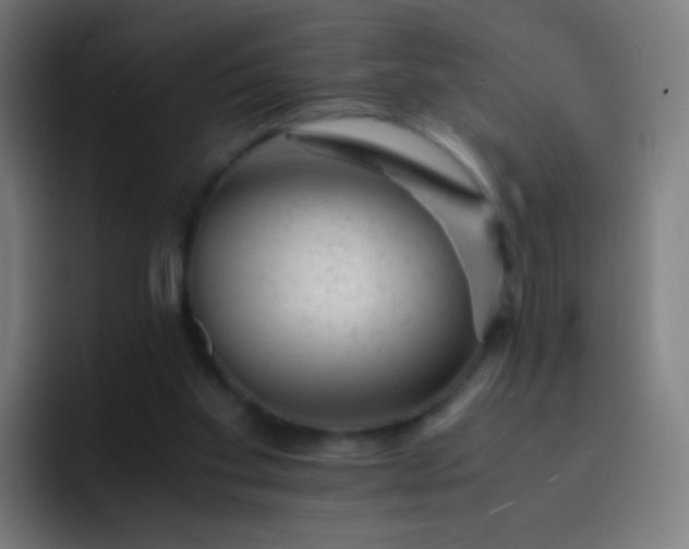 X0000093230109200710101411