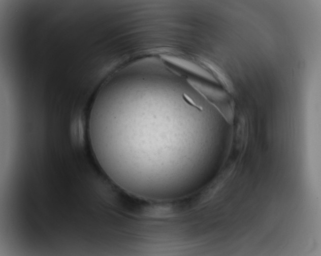 X0000093230110200710101411