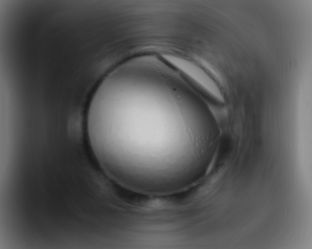 X0000093230111200710101411