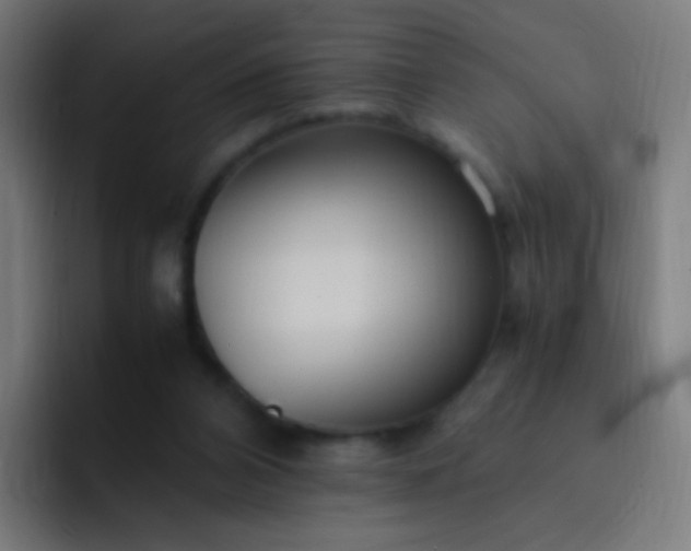 X0000093230112200710101411