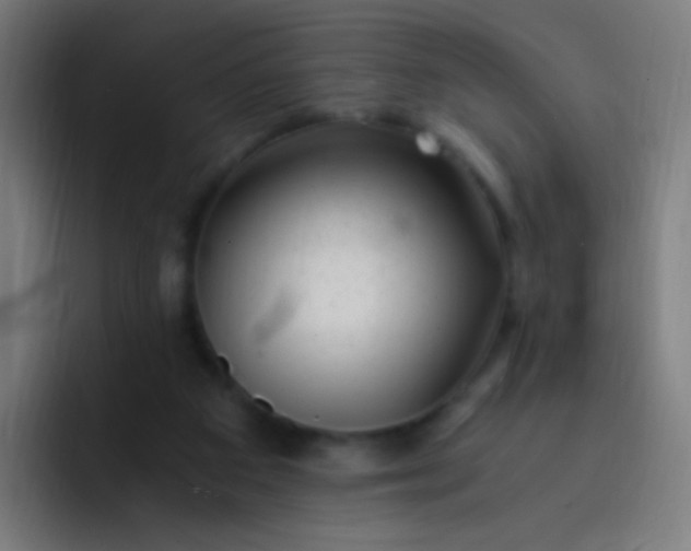 X0000093230113200710101411