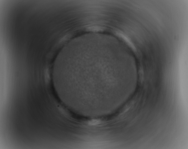 X0000093230114200710101411