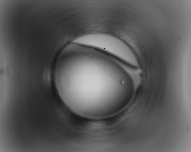 X0000093230115200710101411