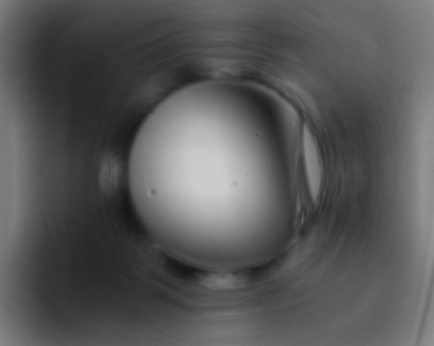 X0000093230123200710101410