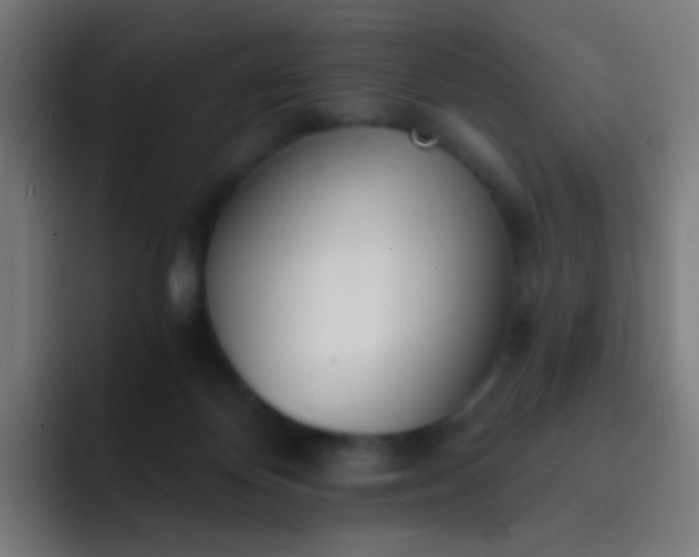 X0000093230124200710101410