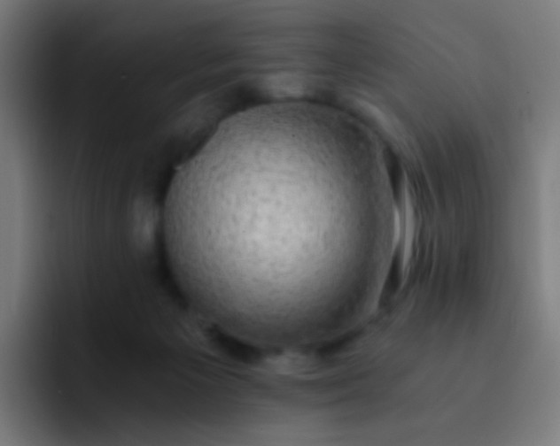 X0000093230125200710101410