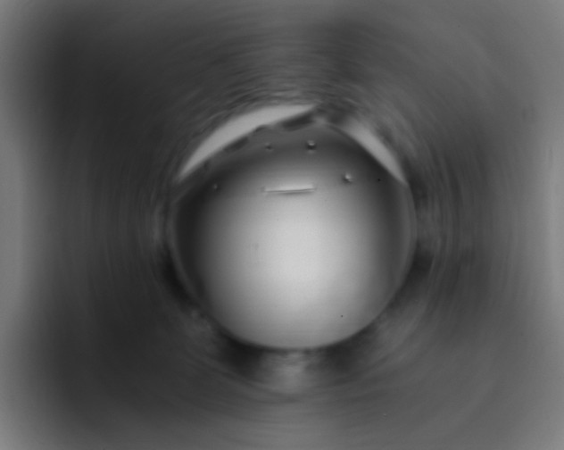 X0000093230131200710101410