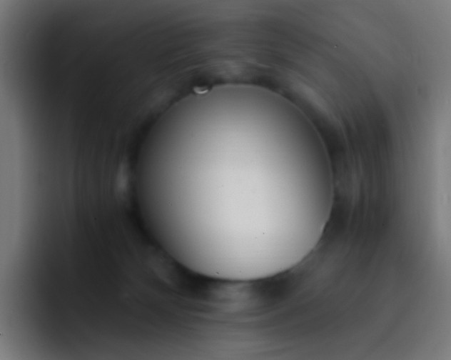 X0000093230132200710101410