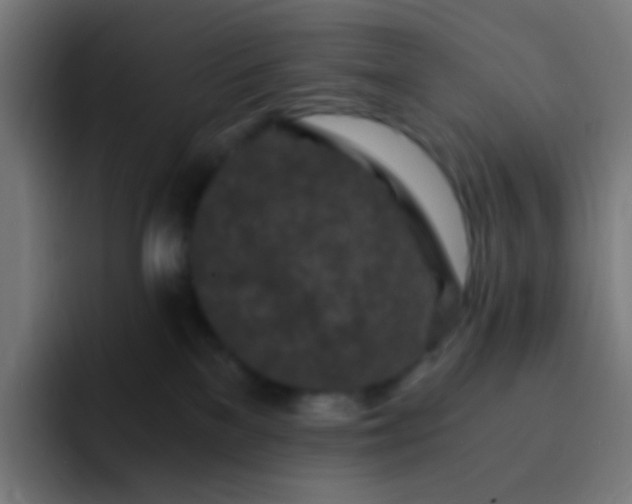 X0000093230137200710101410