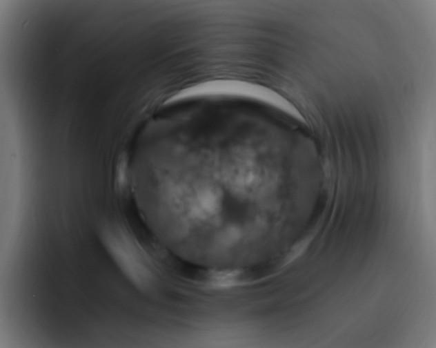 X0000093230143200710101410