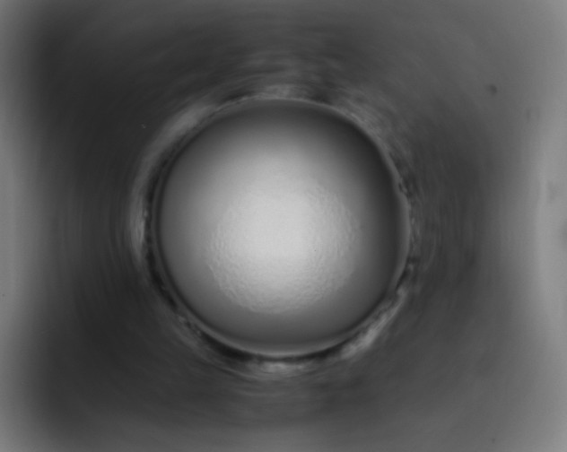 X0000093230149200710101410