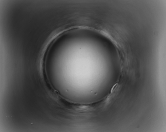 X0000093230151200710101410