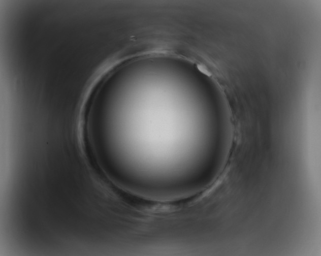 X0000093230152200710101410