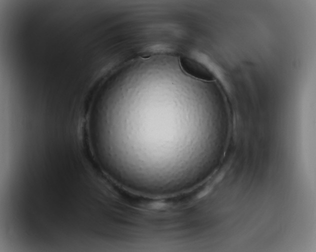 X0000093230153200710101410