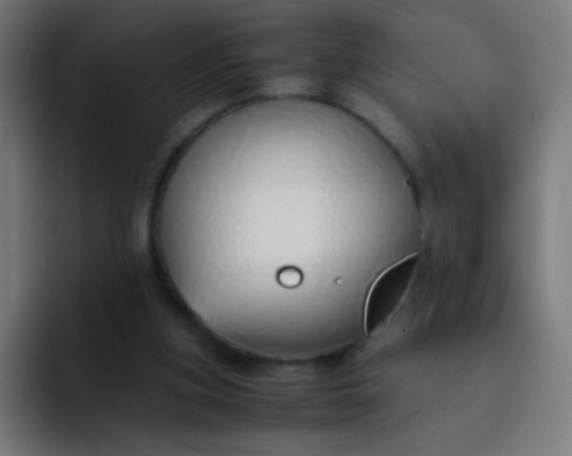 X0000093230155200710101410