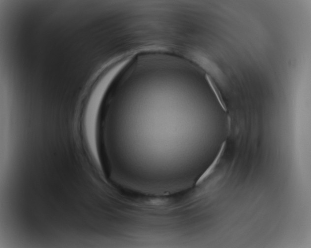 X0000093230156200710101410