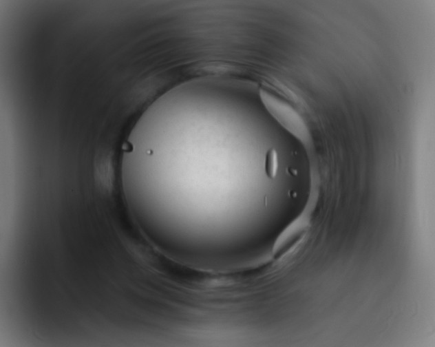 X0000093230158200710101410