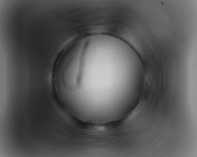 X0000093230159200710101410