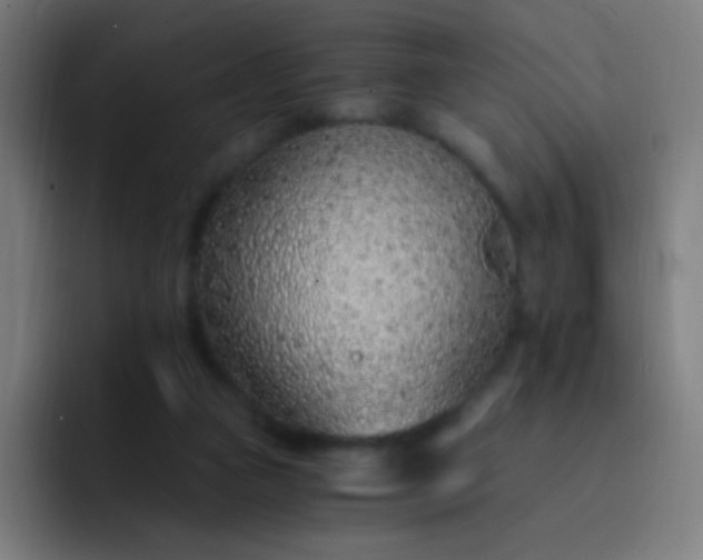 X0000093230161200710101410