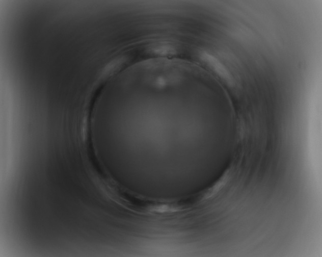 X0000093230163200710101410