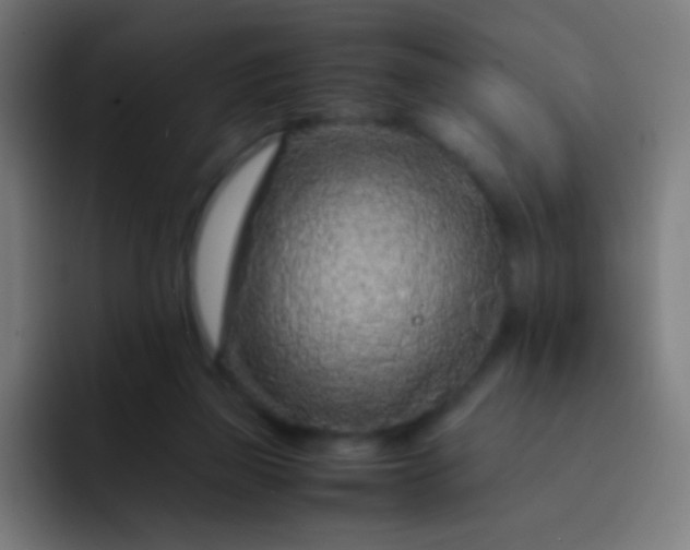 X0000093230165200710101410