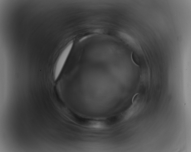 X0000093230167200710101410