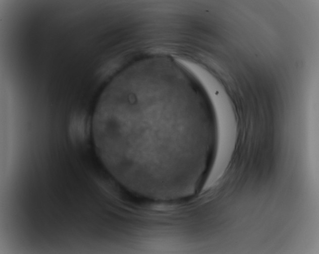 X0000093230168200710101410