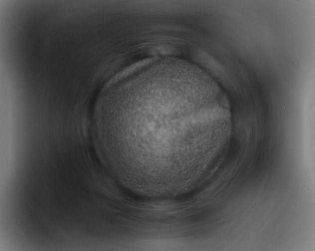 X0000093230169200710101410