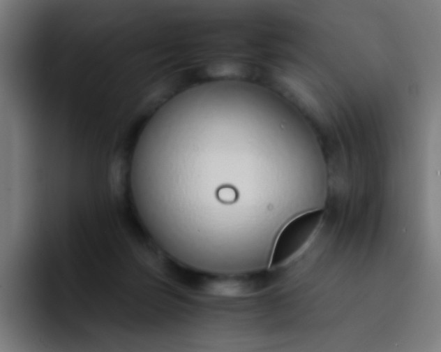 X0000093230171200710101410