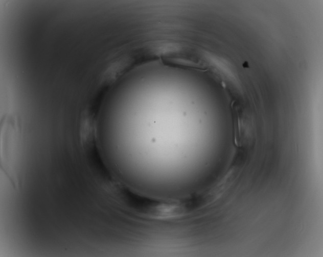 X0000093230172200710101410