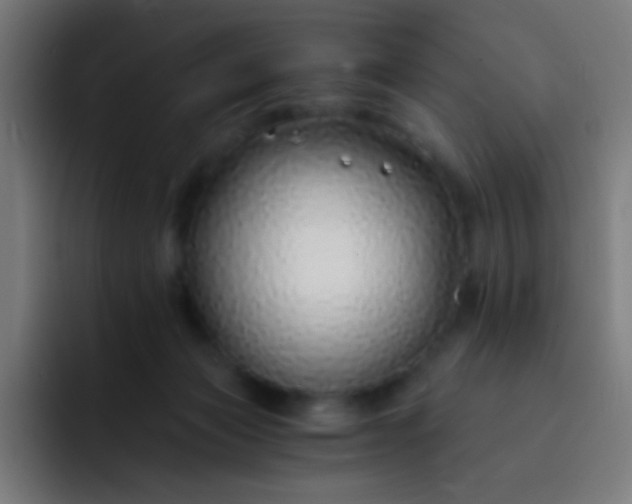 X0000093230173200710101410