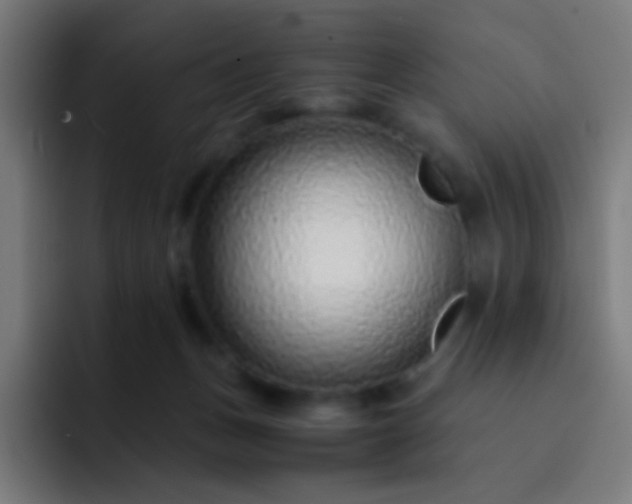 X0000093230175200710101410