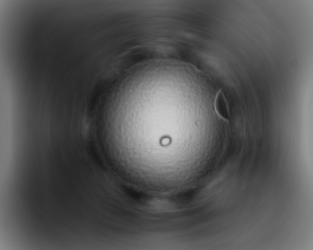 X0000093230177200710101410