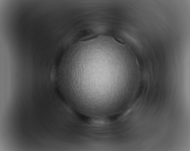 X0000093230181200710101410