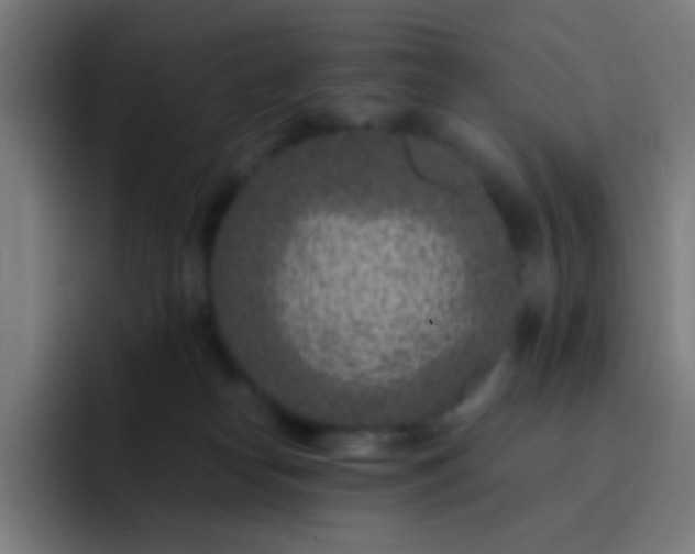 X0000093230182200710101410