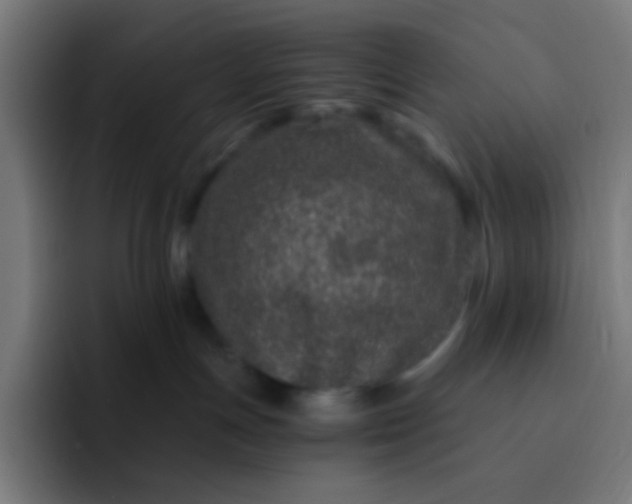 X0000093230191200710101410