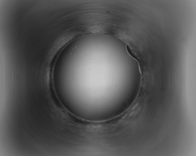 X0000093230194200710101410