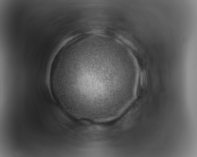 X0000093230195200710101410