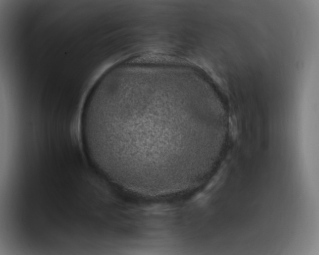 X0000093230196200710101410