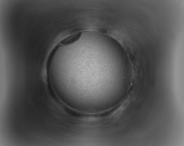 X0000093230198200710101410